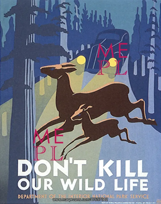  : Deer Crossing Road