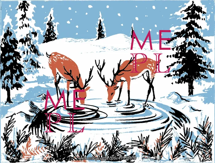 : Two Deer drinking from a pool : Two Deer drinking from a pool