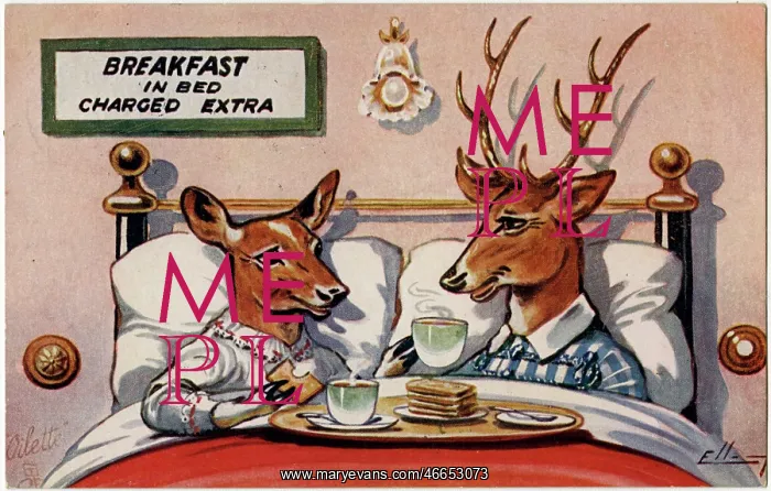 : Two Deer enjoy Breakfast in Bed (charged extra) : Two Deer enjoy Breakfast in Bed (charged extra)