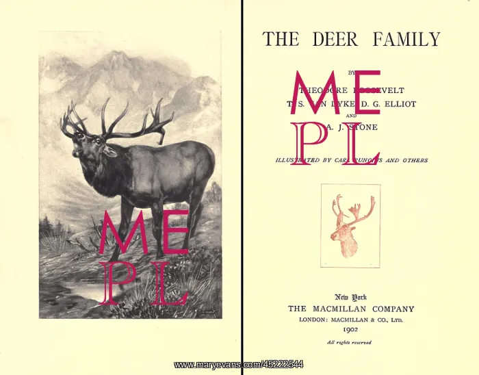 : THE DEER FAMILY was first published in 1902 ? : THE DEER FAMILY was first published in 1902 ?