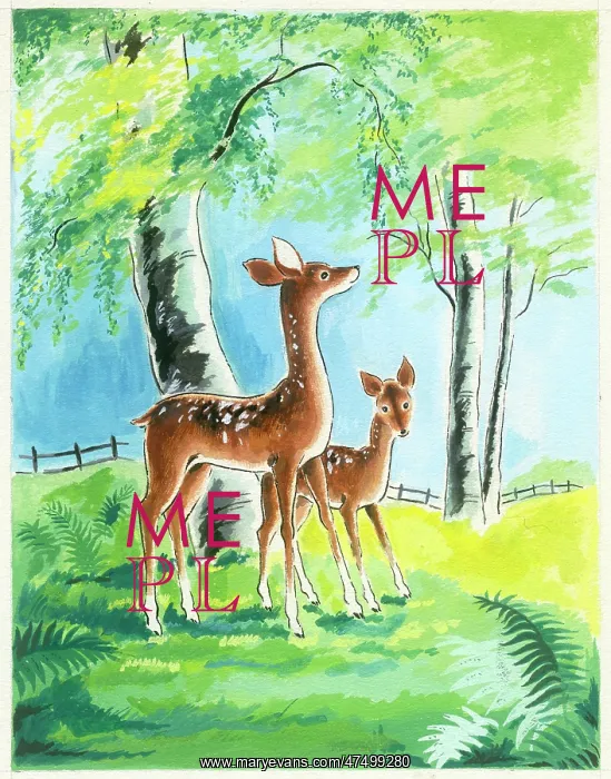  : Deer and fawn with birch trees and bracken