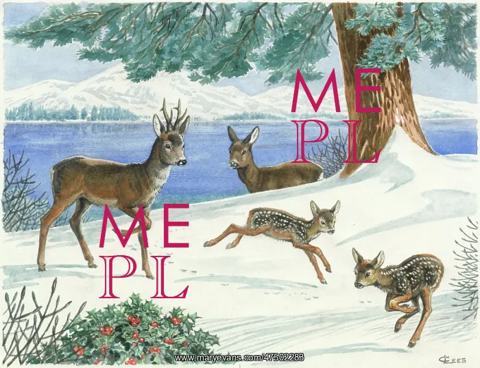  : Deer with fawns in the snow by lakeside