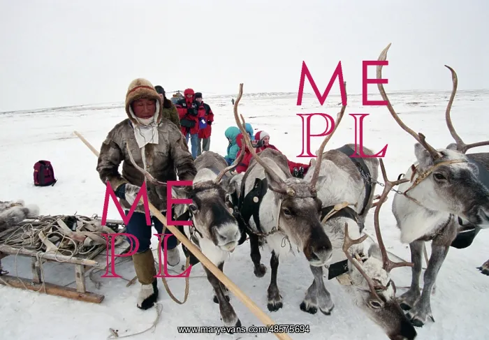 : Deer herders settlement : Deer herders settlement