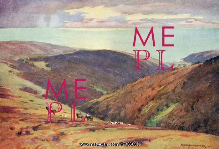  : DEER HUNT ON EXMOOR