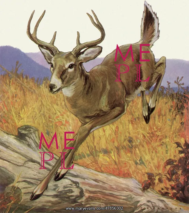  : Deer Leaps Over Log