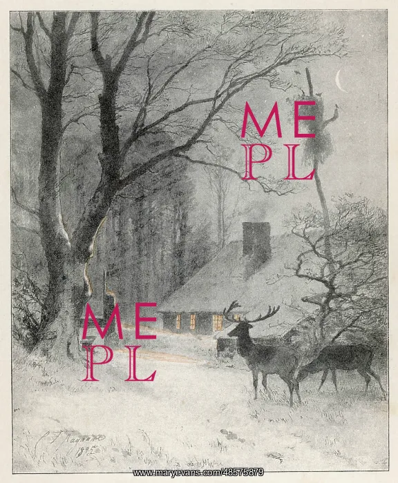 : Deer Near House : Deer Near House