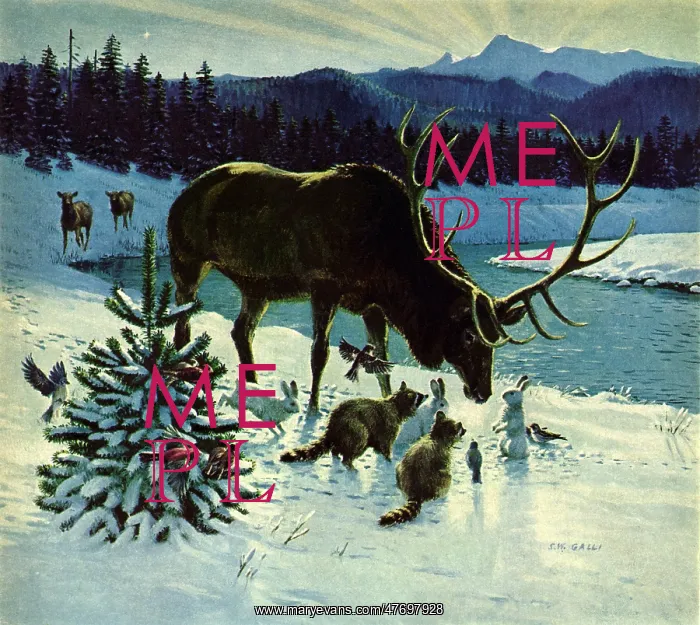  : Deer, Racoon and Rabbit
