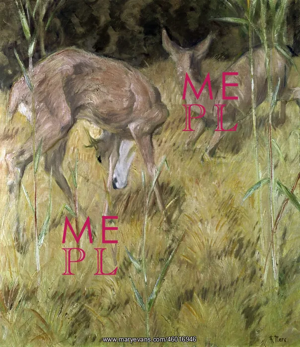 : Deer in the reeds : Deer in the reeds