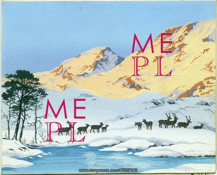 : Deer by river in the mountains : Deer by river in the mountains