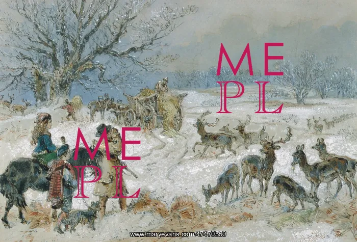 : Deer in the Snow : Deer in the Snow
