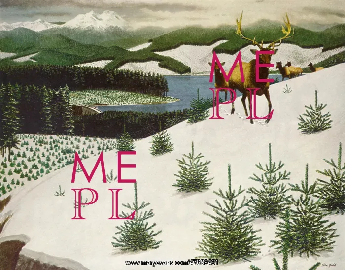  : Deer in Snow Mountain