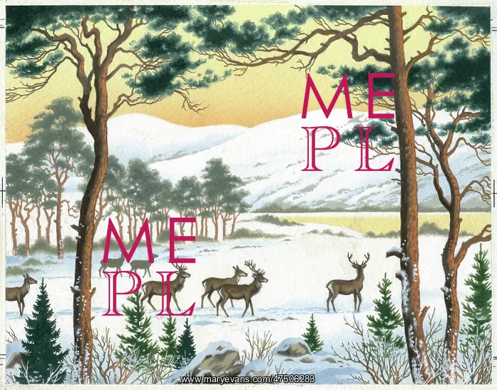 : Deer in the snow with Scots pines : Deer in the snow with Scots pines