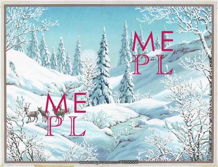 : Deer in a snowy glade : Deer in a snowy glade