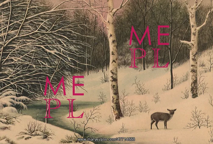  : Deer in a Snowy Land