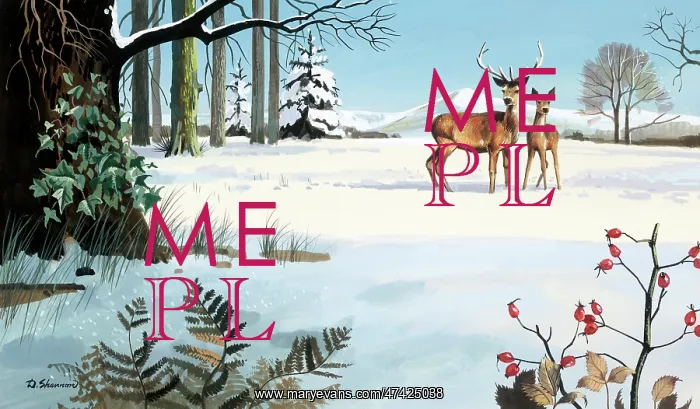 : Deer in Snowy Landscape : Deer in Snowy Landscape