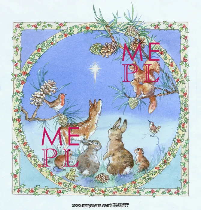  : Deer, squirrels, robin etc