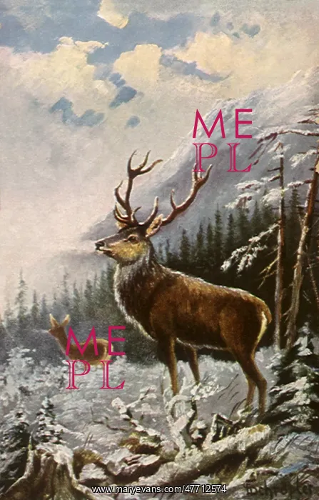  : Deer in Winter