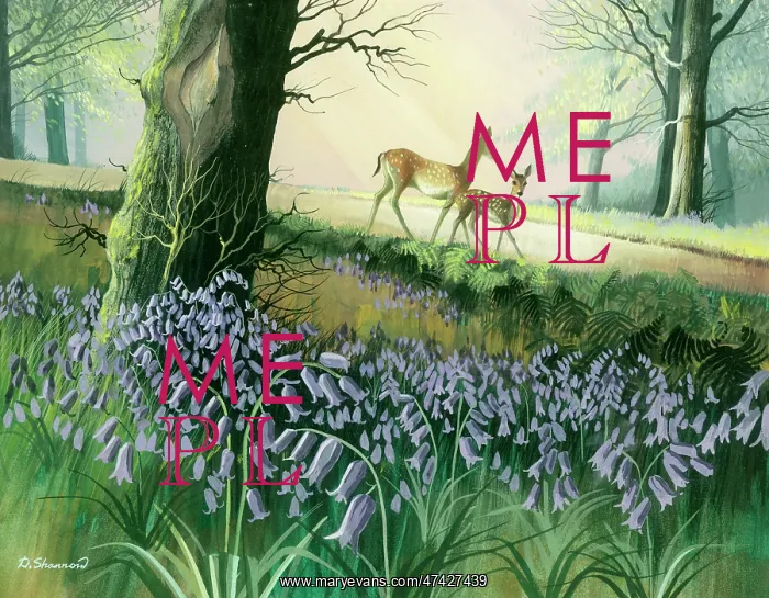 : Two Deer in a Woodland Glade : Two Deer in a Woodland Glade