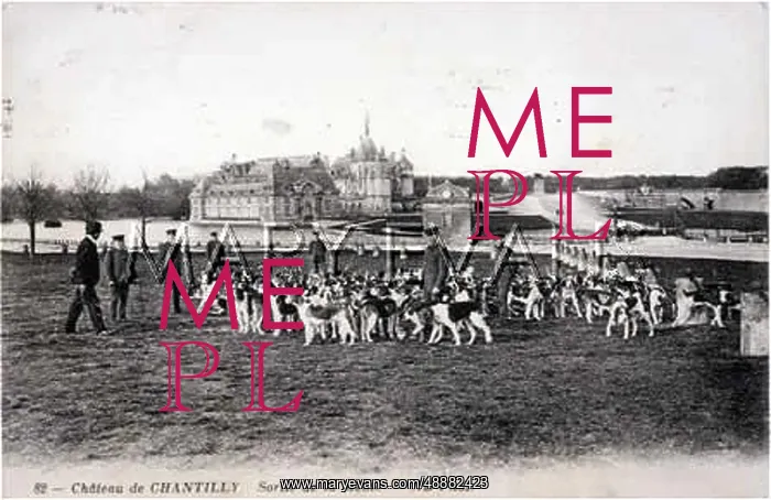  : DEERHOUNDS, CHANTILLY