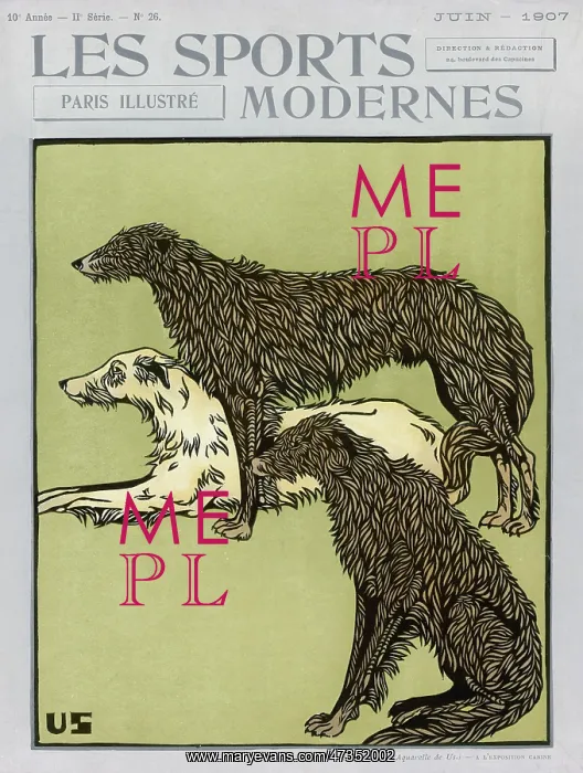 : Deerhounds on Cover : Deerhounds on Cover