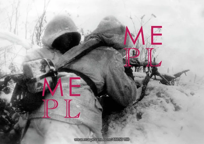 : Defensive battle on the Eastern Front, 1943 : Defensive battle on the Eastern Front, 1943