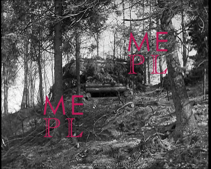 : Defensive Positions Around the Maginot Line : Defensive Positions Around the Maginot Line