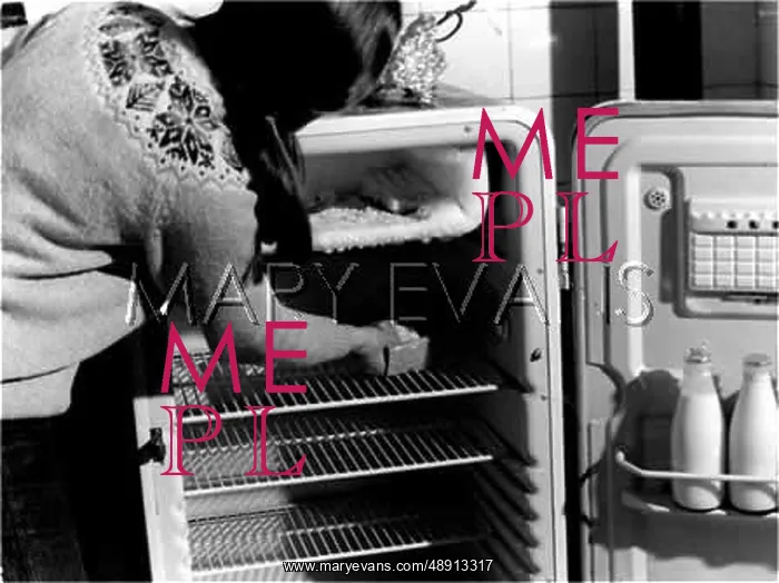 : DEFROSTING A FRIDGE : DEFROSTING A FRIDGE