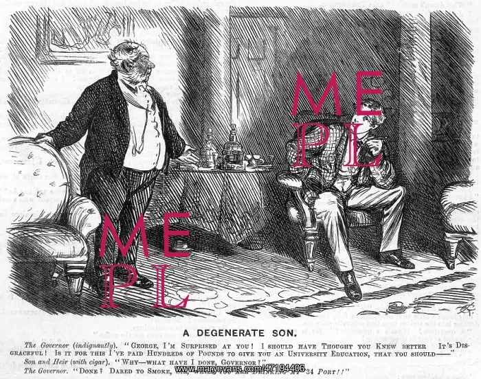 : DEGENERATE SON