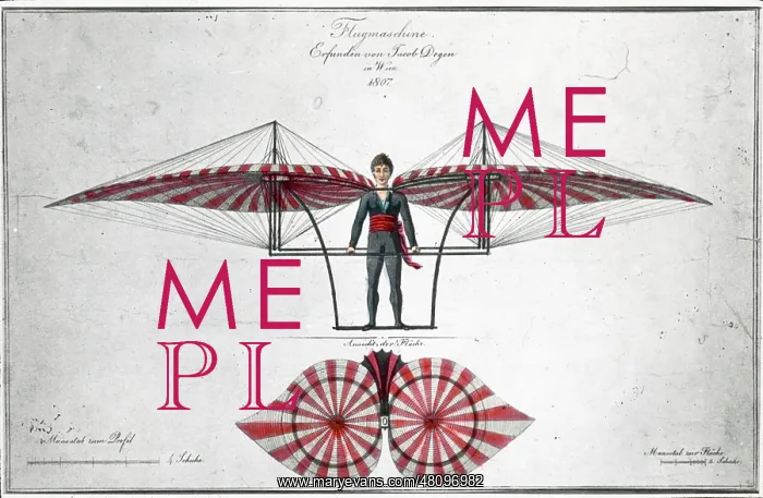 : Degen's ornithopter, 1807 : Degen's ornithopter, 1807