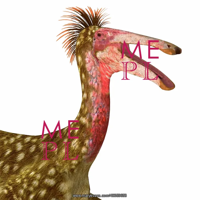 : Deinocheirus head portrait : Deinocheirus head portrait