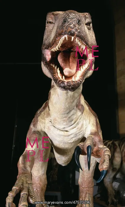 : Deinonychus : Deinonychus