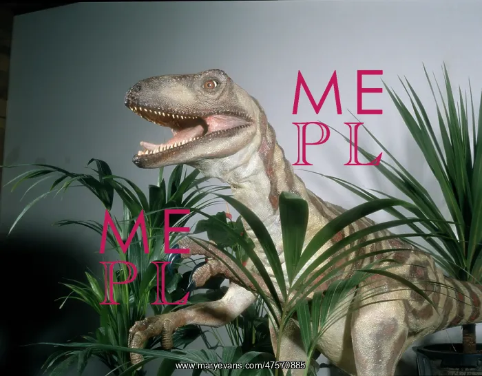 : Deinonychus : Deinonychus