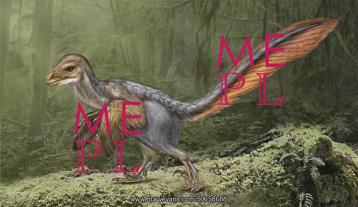 : Deinonychus ancient bird art, illustration : Deinonychus ancient bird art, illustration
