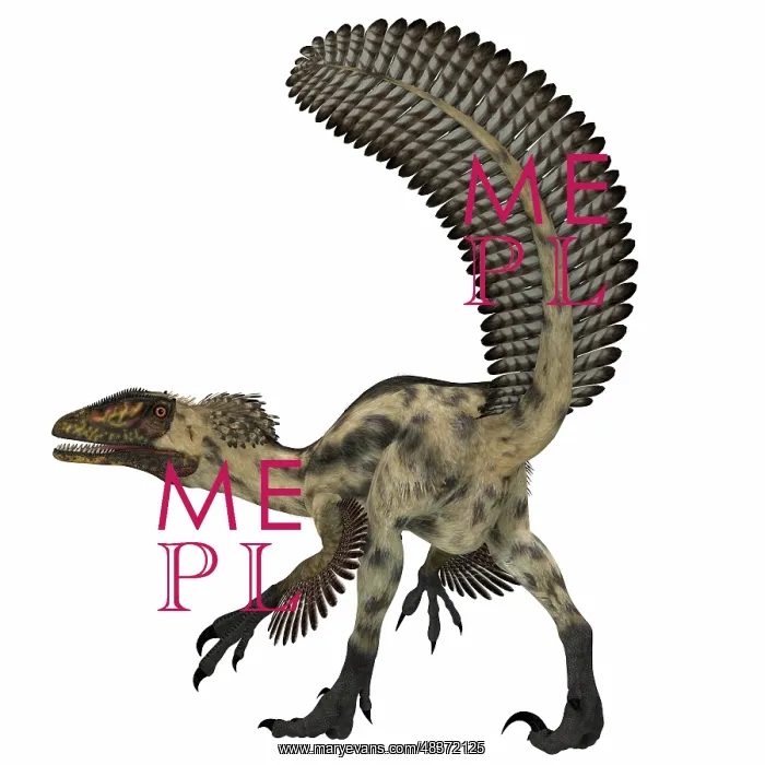 : Deinonychus, a carnivorous dinosaur from the early ? : Deinonychus, a carnivorous dinosaur from the early ?