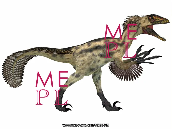 : Deinonychus, a carnivorous dinosaur from the early ? : Deinonychus, a carnivorous dinosaur from the early ?