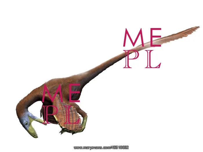 : Deinonychus dinosaur : Deinonychus dinosaur