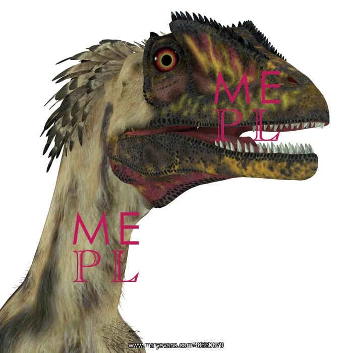 : Deinonychus dinosaur head : Deinonychus dinosaur head