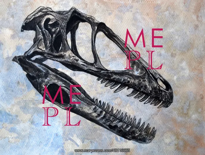 : Deinonychus dinosaur skull : Deinonychus dinosaur skull