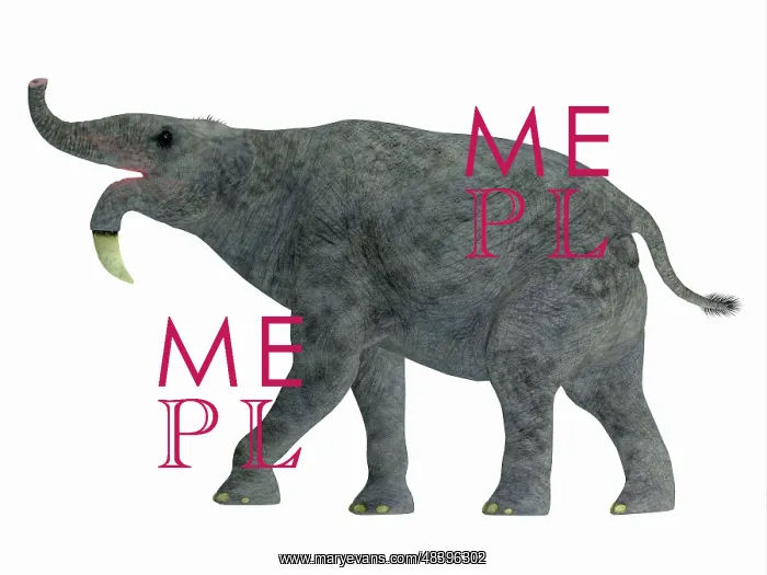 : Deinotherium mammal, side view : Deinotherium mammal, side view