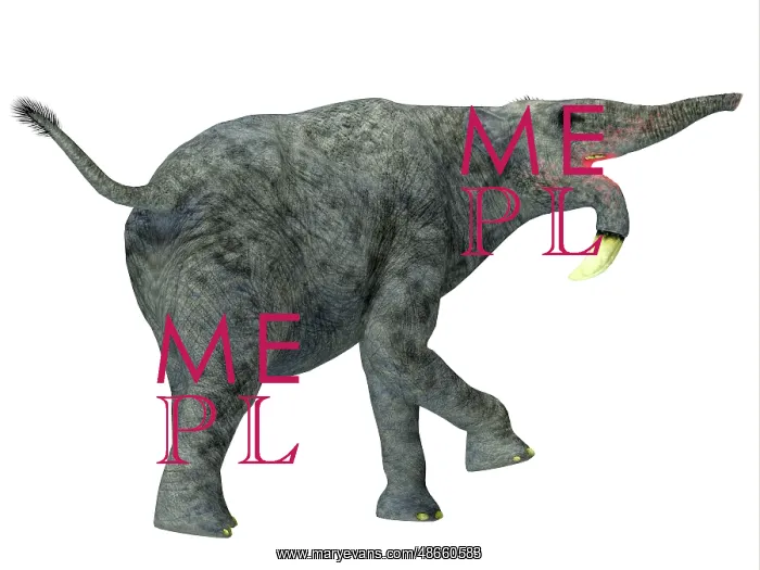 : Deinotherium mammal, white background : Deinotherium mammal, white background