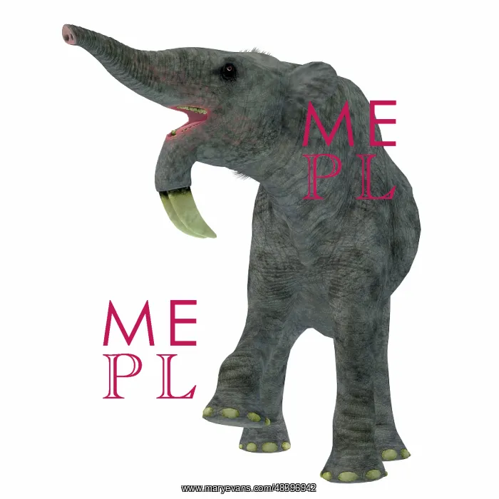 : Deinotherium on white background : Deinotherium on white background