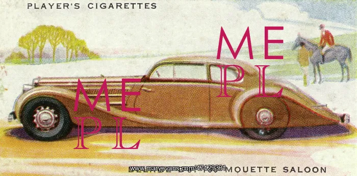 : Delage Mouette : Delage Mouette