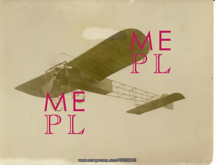 : Delagrange's Bleriot monoplane : Delagrange's Bleriot monoplane