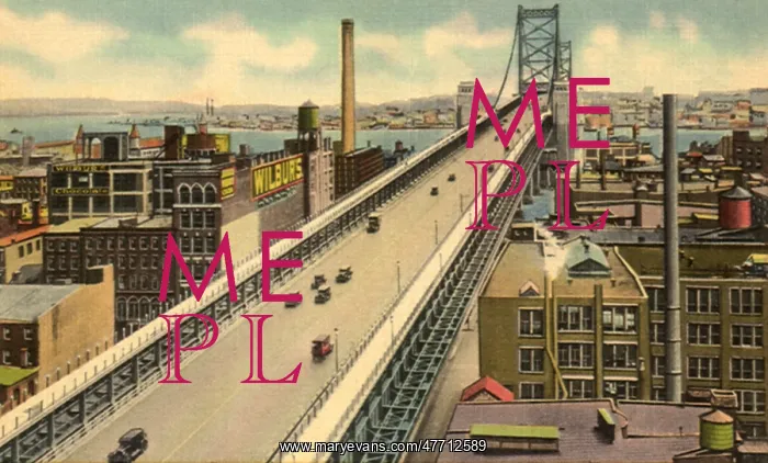  : Delaware River Bridge. Camden