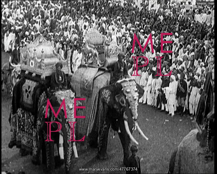 : Delhi Durbar : Delhi Durbar