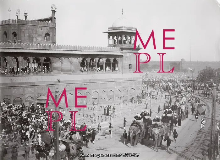 : Delhi Durbar probably 1911, Elephants in procession : Delhi Durbar probably 1911, Elephants in procession