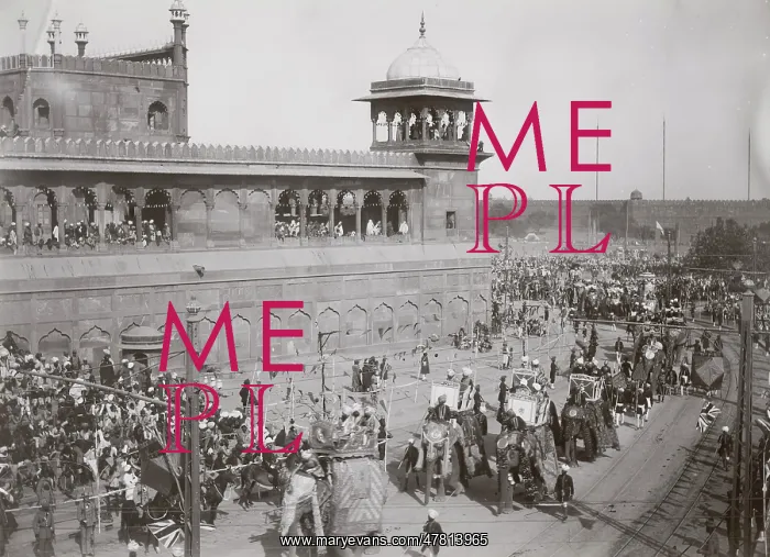 : Delhi Durbar, probably 1911, Elephants in procession : Delhi Durbar, probably 1911, Elephants in procession