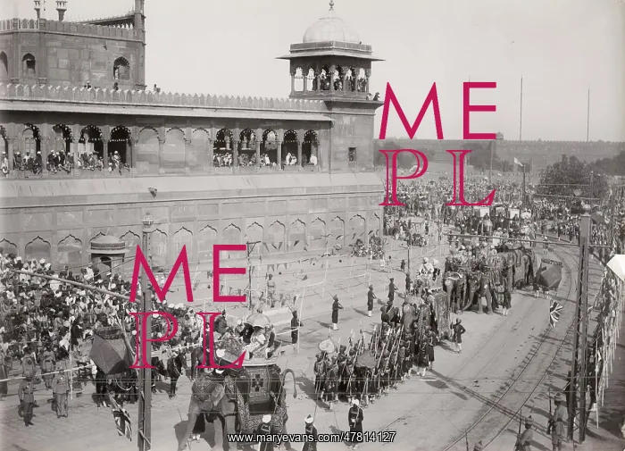 : Delhi Durbar, probably 1911, Elephants in procession : Delhi Durbar, probably 1911, Elephants in procession