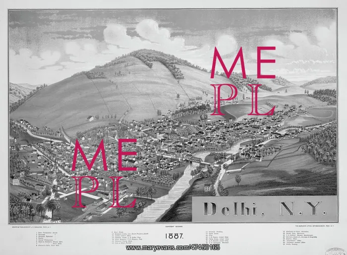  : Delhi, N.Y