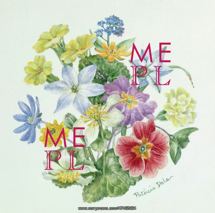 : The Delight of Spring ? flower design : The Delight of Spring ? flower design